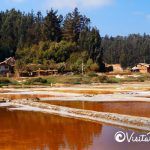 las salinas de cahuil pichilemu