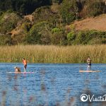 stand up paddle laguna del perro cahuil pichilemu