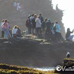 publico pichilemu womens pro 2017 punta de lobos