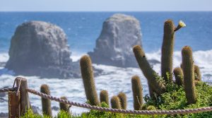 los morros punta de lobos panamericanos santiago 2023 pichilemu