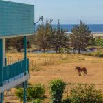 Marina Pichilemu  – Pichilemu