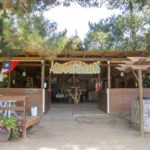 Cabañas y Camping Aguas de Ciruelos – Cáhuil