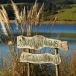 Camping Laguna Del Perro – Cáhuil