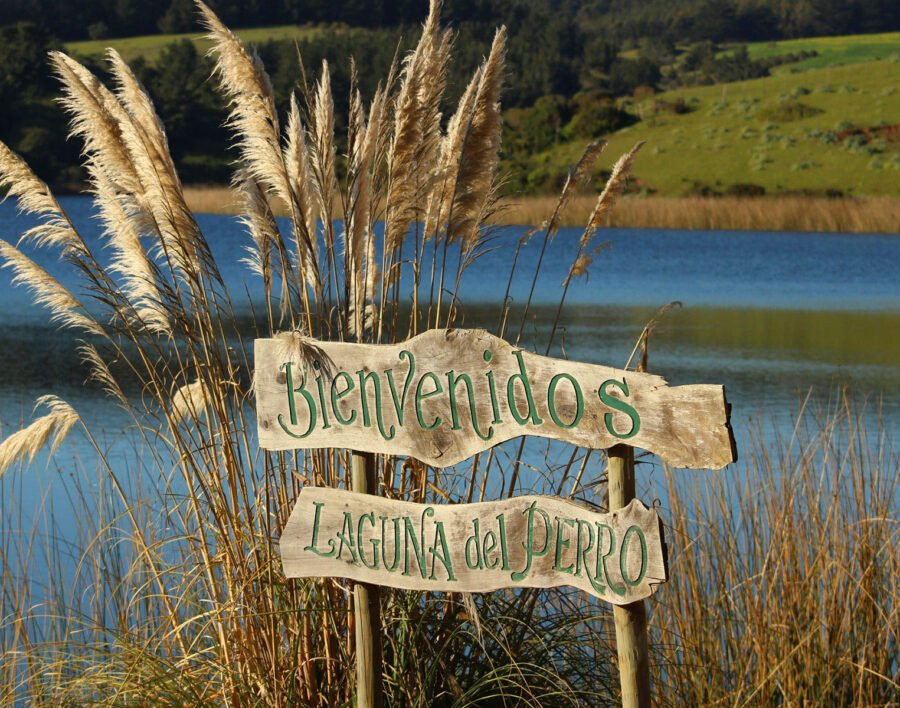 Camping Laguna Del Perro – Cáhuil