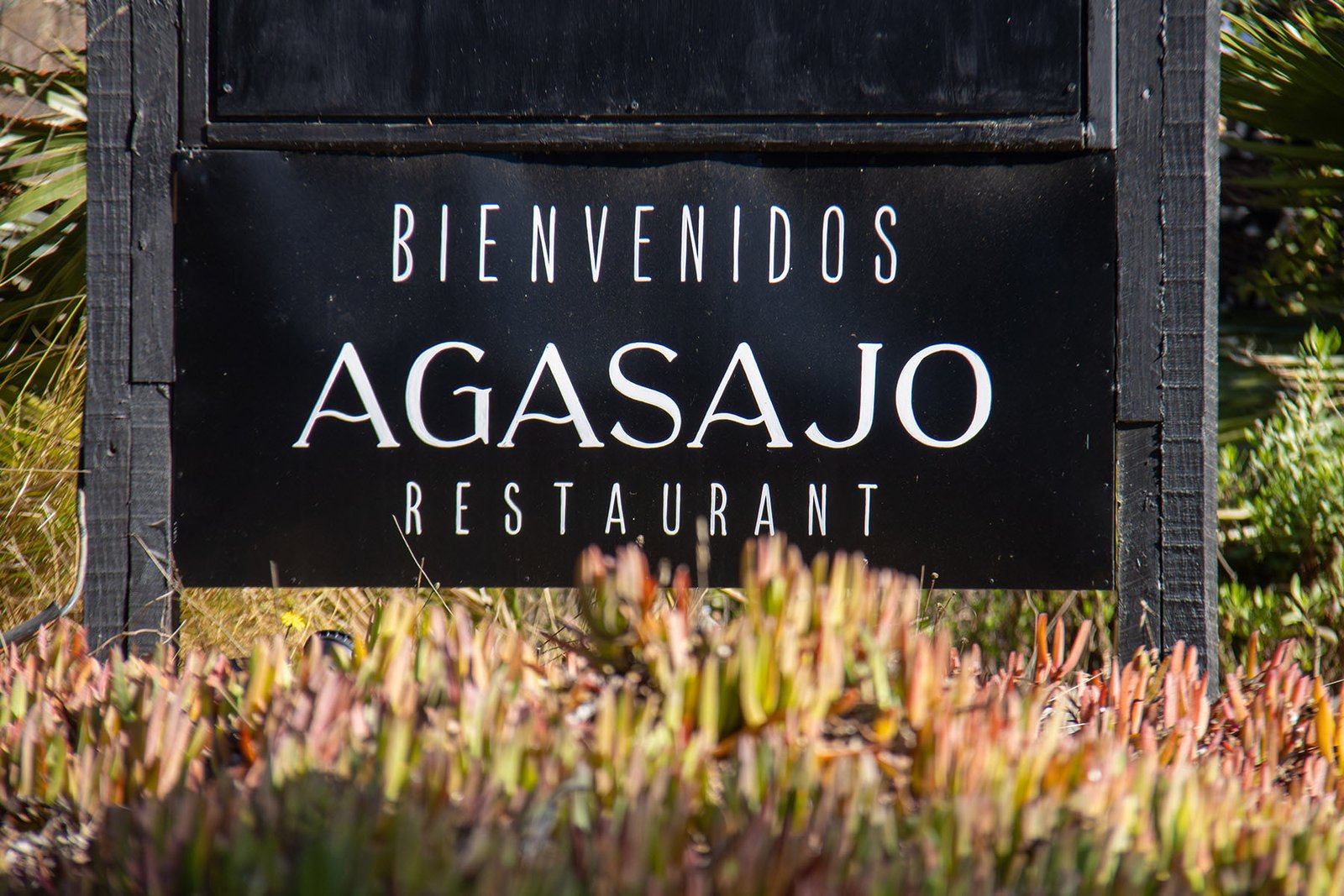 17-AGASAJO-1800x1200px