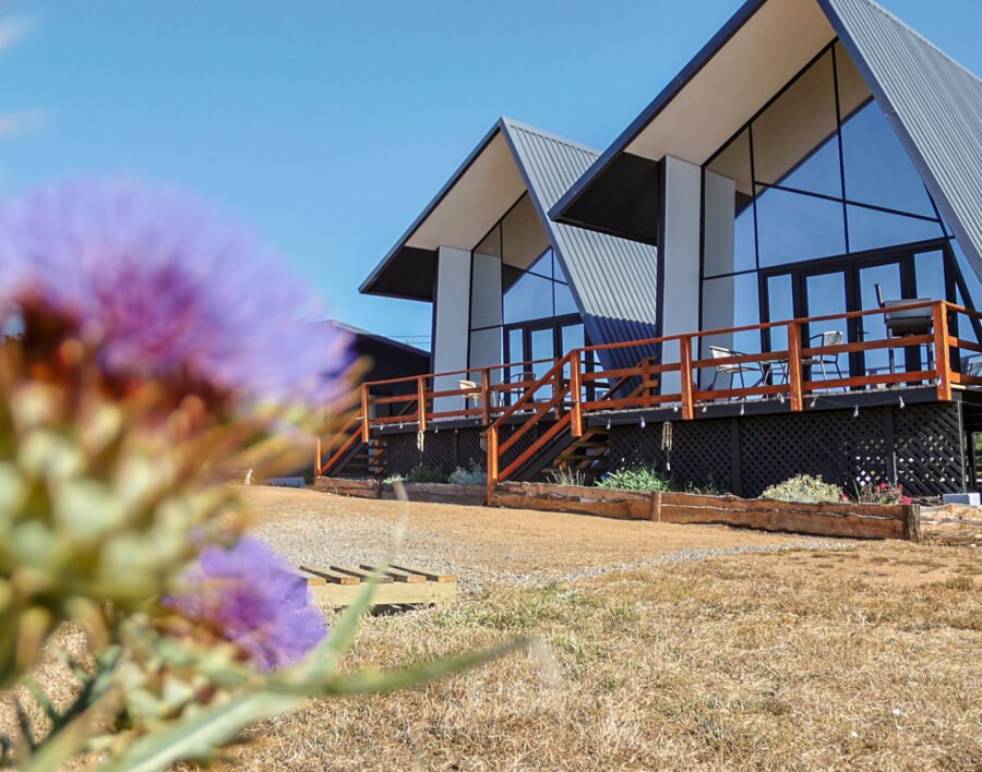 Cardo Lodge – Punta de Lobos