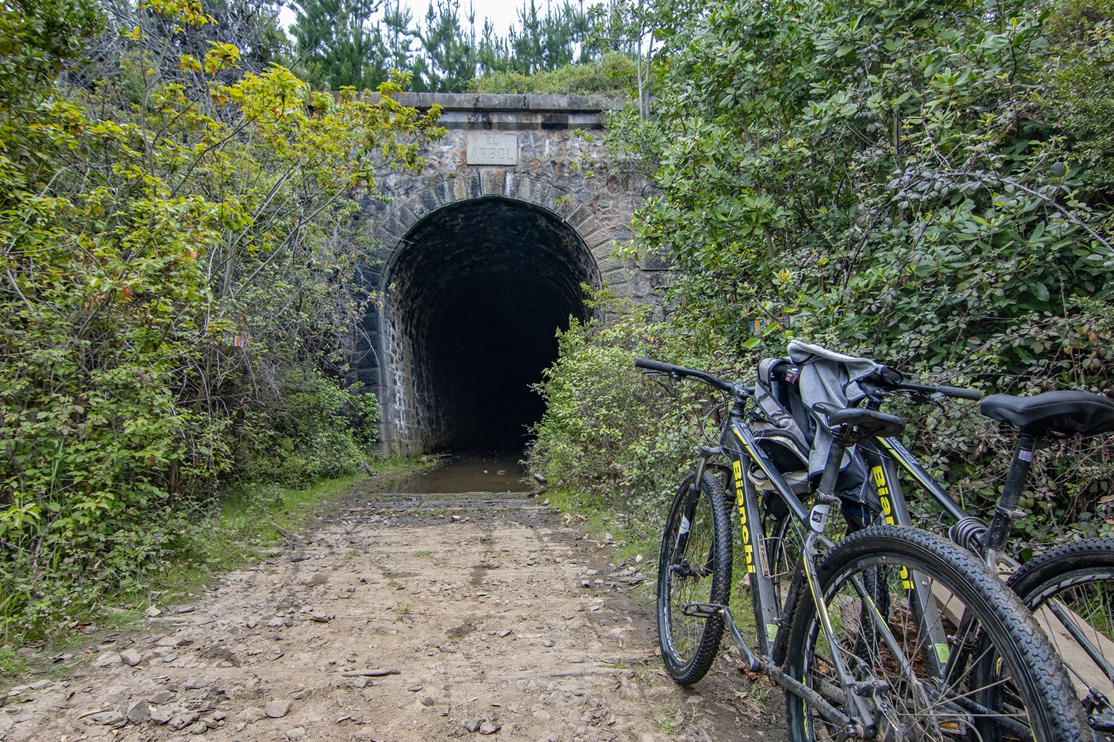 bici tour tunel el arbol pichilemu