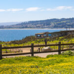 Conviento de Lobos – Punta de Lobos