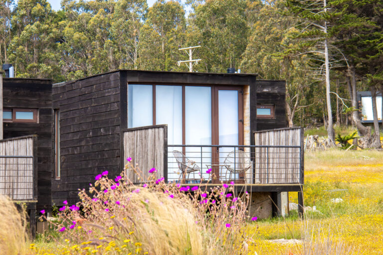 Lafk Lodge – Punta de Lobos