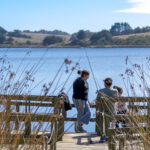Camping Laguna Del Perro – Cáhuil