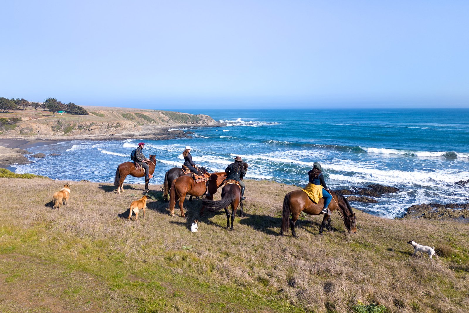 cabalgatas campo y mar en cahuil al sur de pichilemu