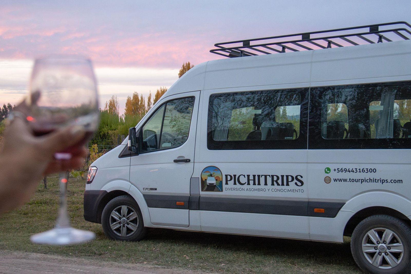 tour y y degustacion de vinos valle de colchagua y pichilemu