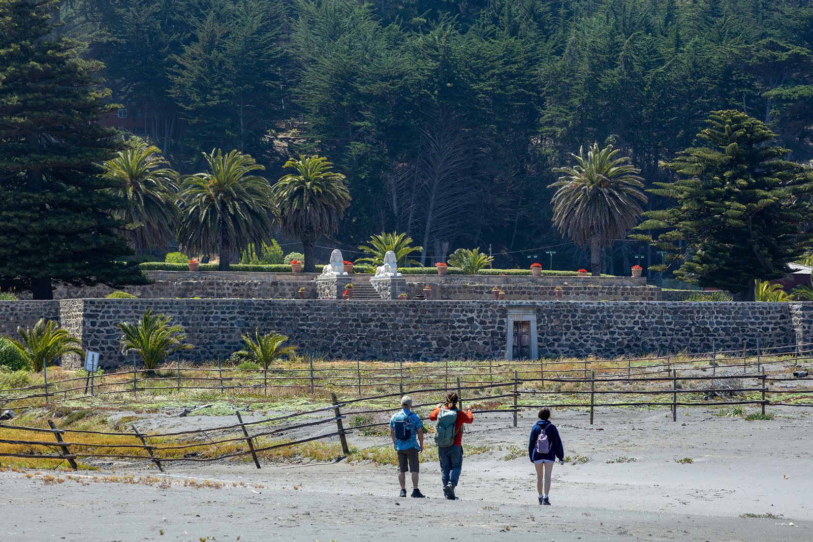 trekking ruinas de tanume pichilemu