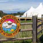olas de chile ecocamp pichilemu